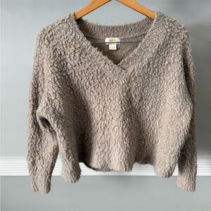 Anthropologie Taupe V-Neck Sweater